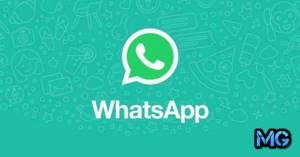 12 хитростей и фишек программы Whatsapp