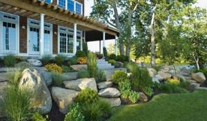 landscaping of a summer cottage