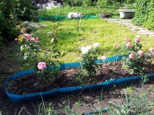 How to fence garden beds at your dacha cheaply. We make fences around the beds from various materials 