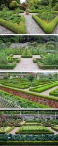 decorative vegetable gardens with hedges