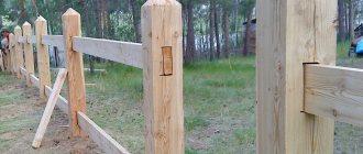 Wooden fence posts