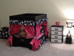 DIY dog house: comfortable housing for a four-legged owner