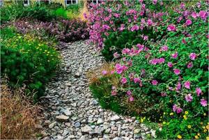 The path between the flower beds sets accents in the landscape design