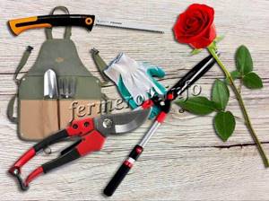 Photo of garden tools for pruning roses