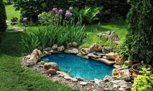 How to improve a pond at your dacha. Choosing the style and size of an artificial pond 