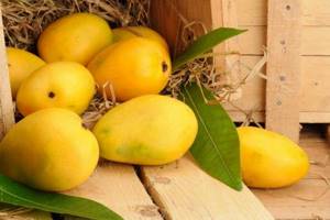 Как понять что манго спелое