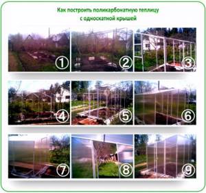 How to build a polycarbonate greenhouse