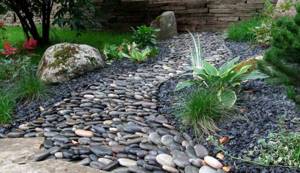 How to make beds from stone: technology and the best ideas for decorating a vegetable garden