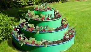 How to make a multi-tiered flowerbed from border tape