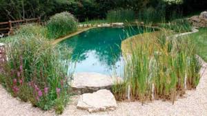 How to make a pond with your own hands: (100 photos with instructions)
