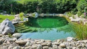How to make a pond with your own hands: (100 photos with instructions)