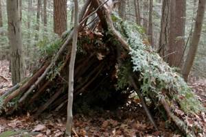 how to make a hut in the forest with your own hands