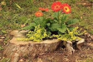 How to make outdoor flowerpots