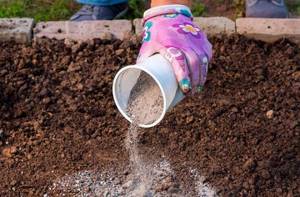 How to fertilize the soil in spring