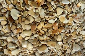 Caspian pebbles
