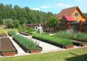 Классические прямоугольные гряды огорода в регулярном стиле