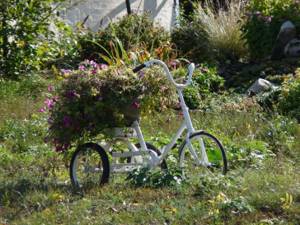 Flowerbed from an old bicycle