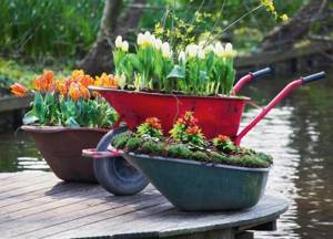Flowerbeds made from old garden carts