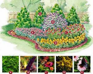 Flower beds with conifers and flowers: photo schemes
