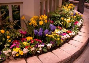 Compact flower bed with beautiful flowers