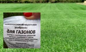 Complex fertilizer for lawns