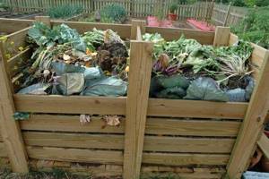 Do-it-yourself compost pit: options for making a heap, how to make it, photo