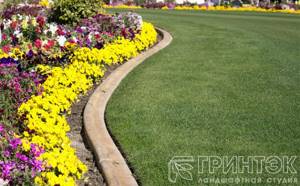 Contrasting flower border