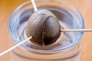 Avocado seed in water