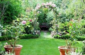 beautiful landscape design of a summer cottage in the English style with flowers