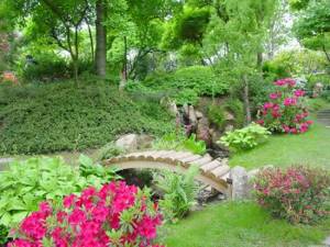 beautiful landscape design of a garden in the English style with flowers