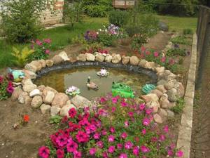 beautiful pond for the dacha