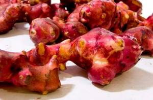 Red tubers of earthen pear