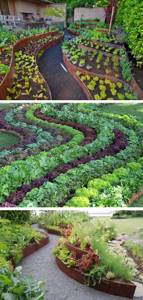 curved vegetable gardens