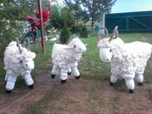 Кудрявые овечки