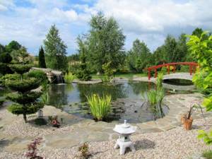 Landscape of a garden plot with an artificial pond
