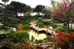 Landscape design can be safely called one of the manifestations of Chinese culture, which fully reflects all its features