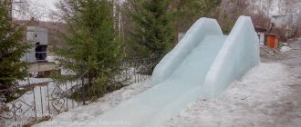 ice slide for sledding, ice skates, cheesecakes