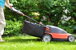 The best electric lawn mowers