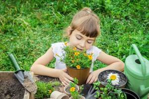 Маленькая девочка высаживает цветы