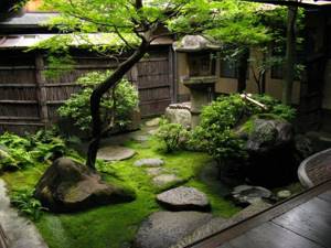 Small garden in Japanese style