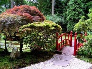 Niwaki and garden bonsai: a piece of living Japan in your garden (35 photos)
