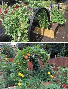 low arched vegetable gardens