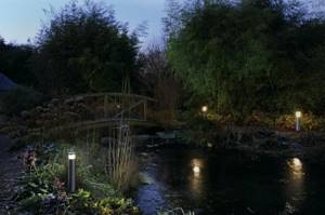 Night illumination of an artificial pond