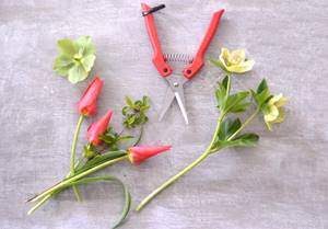 Florist&#39;s scissors ARS