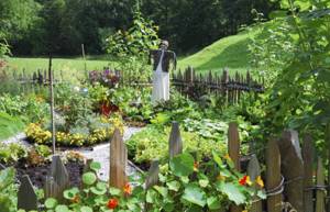 Огородное пугало, как элемент декора частного двора