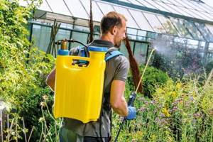 A 12 liter sprayer is enough to treat a plot of up to 30 acres