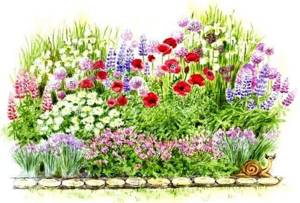 Original flower beds of low-growing perennial flowers