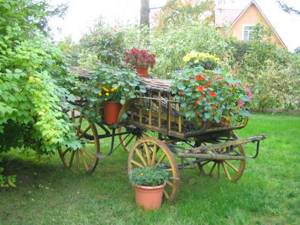 Original flower beds in country style can be made from an old cart or an unnecessary bicycle.