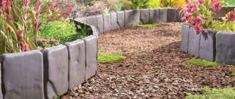 Features of borders for flower beds