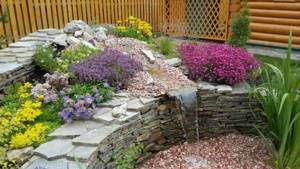 landscaping of a summer cottage